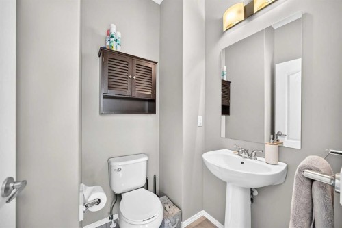 162 Cranford Common Se, Calgary, AB - Indoor Photo Showing Bathroom
