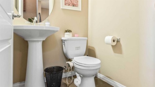 396 Skyview Shores Manor Ne, Calgary, AB - Indoor Photo Showing Bathroom