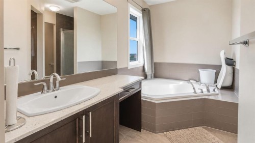 396 Skyview Shores Manor Ne, Calgary, AB - Indoor Photo Showing Bathroom
