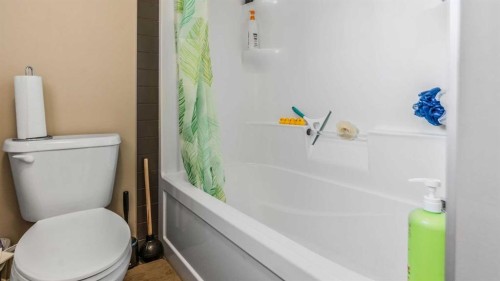 396 Skyview Shores Manor Ne, Calgary, AB - Indoor Photo Showing Bathroom