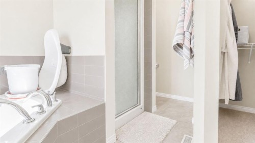 396 Skyview Shores Manor Ne, Calgary, AB - Indoor Photo Showing Bathroom