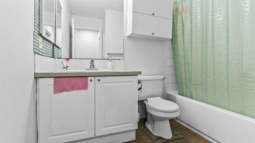 247 Taracove Estate Drive Ne, Calgary, AB - Indoor Photo Showing Bathroom