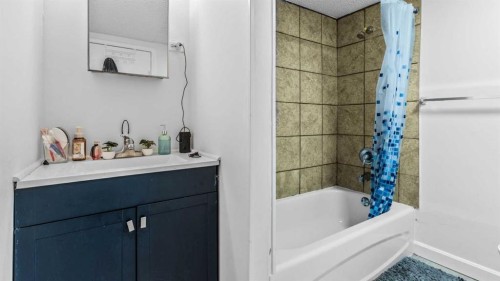 247 Taracove Estate Drive Ne, Calgary, AB - Indoor Photo Showing Bathroom