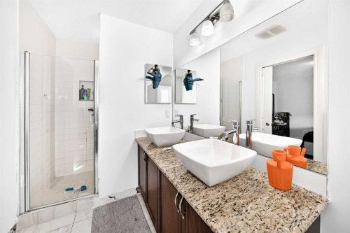 55 Skyview Ranch Lane Ne, Calgary, AB - Indoor Photo Showing Bathroom