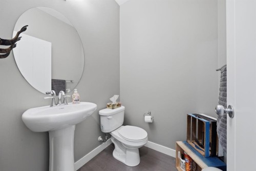 2632 Ravenslea Gardens Se, Airdrie, AB - Indoor Photo Showing Bathroom