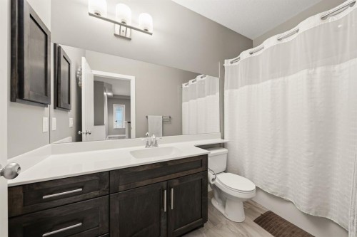 2632 Ravenslea Gardens Se, Airdrie, AB - Indoor Photo Showing Bathroom