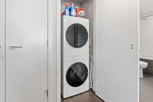 701-626 14 Avenue Sw, Calgary, AB - Indoor Photo Showing Laundry Room