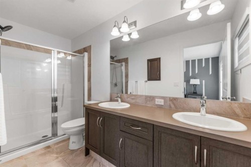 80 Legacy Glen Row Se, Calgary, AB - Indoor Photo Showing Bathroom