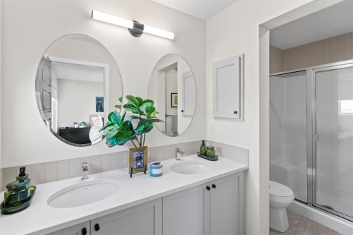 239 Lewiston Drive Ne, Calgary, AB - Indoor Photo Showing Bathroom