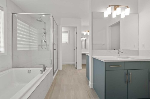 195 Setonstone Landing Se, Calgary, AB - Indoor Photo Showing Bathroom