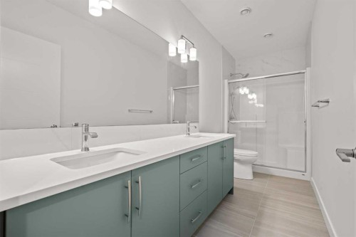 195 Setonstone Landing Se, Calgary, AB - Indoor Photo Showing Bathroom