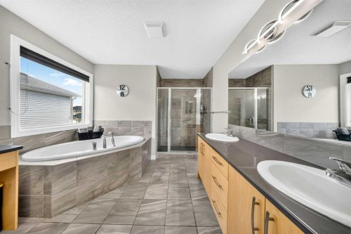 37 Rainbow Falls Boulevard, Chestermere, AB - Indoor Photo Showing Bathroom