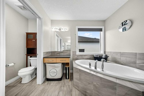 37 Rainbow Falls Boulevard, Chestermere, AB - Indoor Photo Showing Bathroom