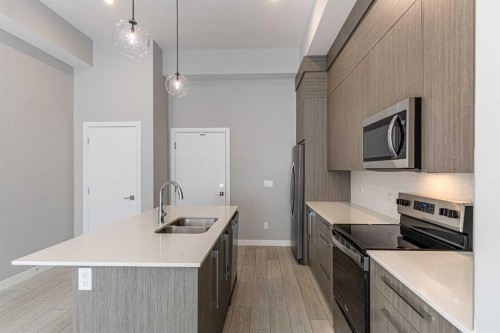 3122-60 Skyview Ranch Road Ne, Calgary, AB - Indoor Photo Showing Kitchen With Double Sink With Upgraded Kitchen