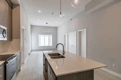 3122-60 Skyview Ranch Road Ne, Calgary, AB - Indoor Photo Showing Kitchen With Double Sink With Upgraded Kitchen