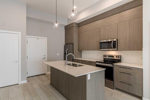 3122-60 Skyview Ranch Road Ne, Calgary, AB - Indoor Photo Showing Kitchen With Double Sink With Upgraded Kitchen