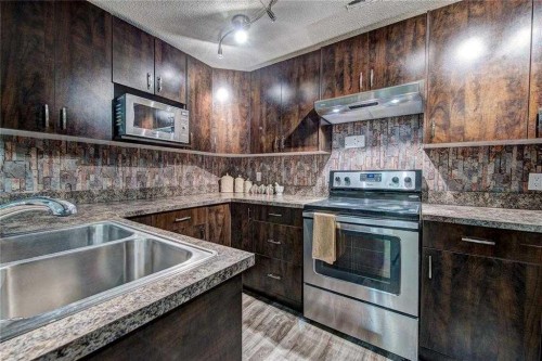 12 Skyview Springs Gardens Ne, Calgary, AB - Indoor Photo Showing Kitchen With Double Sink
