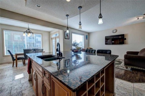 12 Skyview Springs Gardens Ne, Calgary, AB - Indoor Photo Showing Kitchen With Double Sink