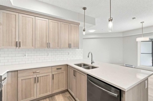 2306-33 Carringham Gate Nw, Calgary, AB - Indoor Photo Showing Kitchen With Double Sink With Upgraded Kitchen