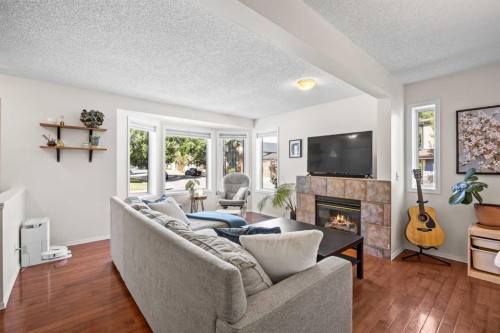 690 Regal Park Ne, Calgary, AB - Indoor Photo Showing Living Room With Fireplace