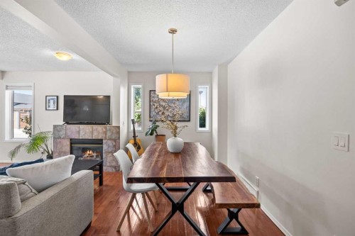690 Regal Park Ne, Calgary, AB - Indoor With Fireplace