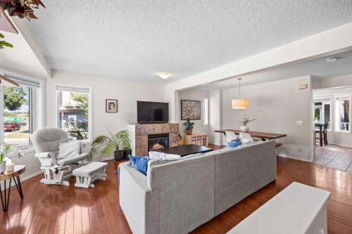 690 Regal Park Ne, Calgary, AB - Indoor Photo Showing Living Room With Fireplace