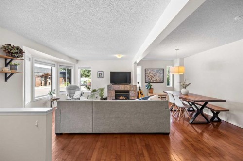690 Regal Park Ne, Calgary, AB - Indoor Photo Showing Living Room With Fireplace