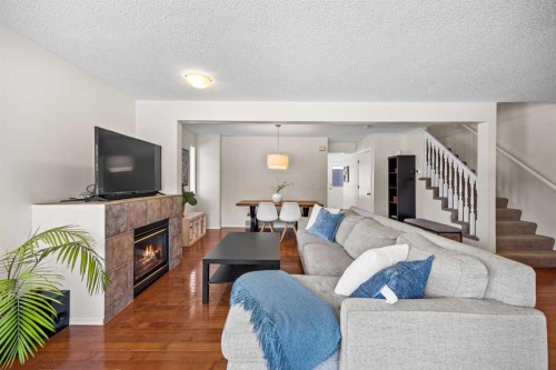 690 Regal Park Ne, Calgary, AB - Indoor Photo Showing Living Room With Fireplace