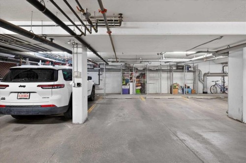 310-10 Walgrove Se, Calgary, AB - Indoor Photo Showing Garage