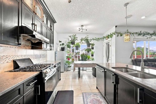 201 Saddlelake Drive Ne, Calgary, AB 