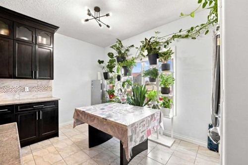 201 Saddlelake Drive Ne, Calgary, AB 