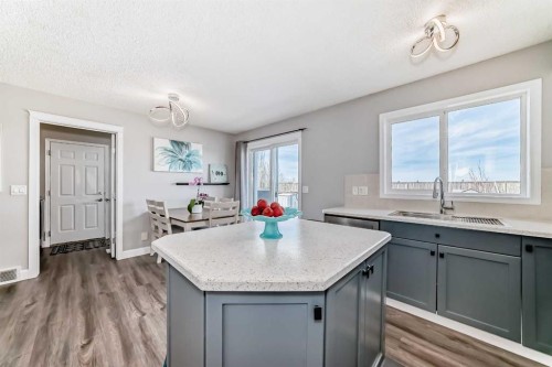 22 Moe Avenue Nw, Langdon, AB - Indoor Photo Showing Kitchen