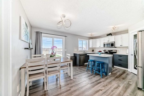 22 Moe Avenue Nw, Langdon, AB - Indoor Photo Showing Kitchen With Stainless Steel Kitchen With Upgraded Kitchen