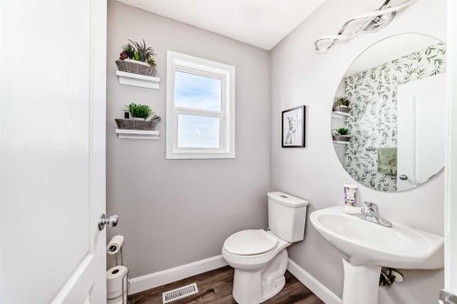 22 Moe Avenue Nw, Langdon, AB - Indoor Photo Showing Bathroom