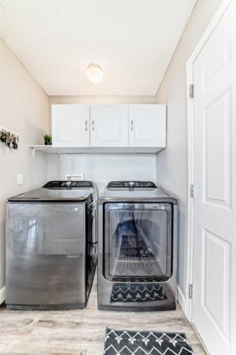 22 Moe Avenue Nw, Langdon, AB - Indoor Photo Showing Laundry Room