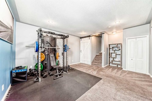22 Moe Avenue Nw, Langdon, AB - Indoor Photo Showing Gym Room
