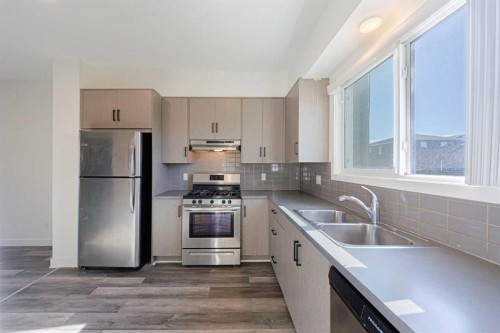 83 Savanna Park Ne, Calgary, AB - Indoor Photo Showing Kitchen With Double Sink