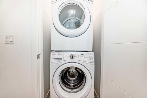 83 Savanna Park Ne, Calgary, AB - Indoor Photo Showing Laundry Room