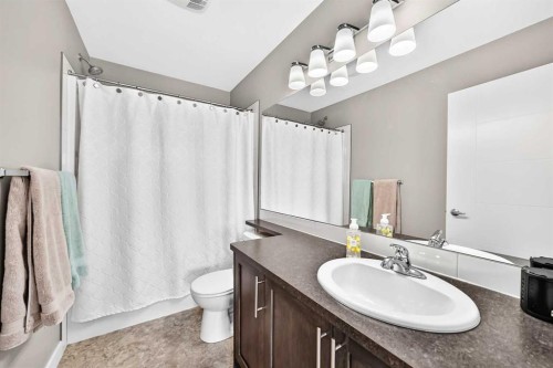 551 Redstone View Ne View Ne, Calgary, AB - Indoor Photo Showing Bathroom