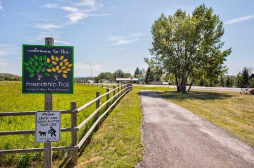 315 Willow Ridge Way, Diamond Valley, AB - Outdoor With View