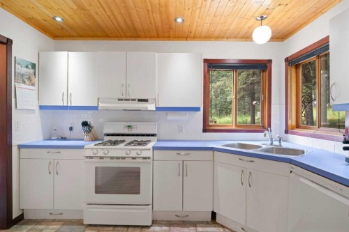 5 Eagle Drive, Waiparous, AB - Indoor Photo Showing Kitchen With Double Sink