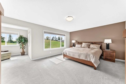 127 Royal Birch Way Nw, Calgary, AB - Indoor Photo Showing Bedroom