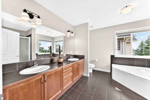 127 Royal Birch Way Nw, Calgary, AB - Indoor Photo Showing Bathroom