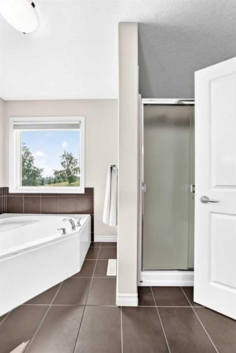 127 Royal Birch Way Nw, Calgary, AB - Indoor Photo Showing Bathroom