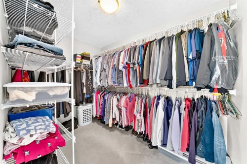 127 Royal Birch Way Nw, Calgary, AB - Indoor With Storage