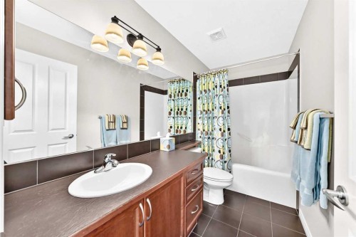 127 Royal Birch Way Nw, Calgary, AB - Indoor Photo Showing Bathroom