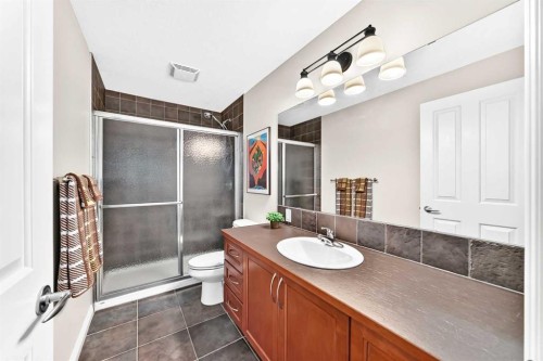 127 Royal Birch Way Nw, Calgary, AB - Indoor Photo Showing Bathroom