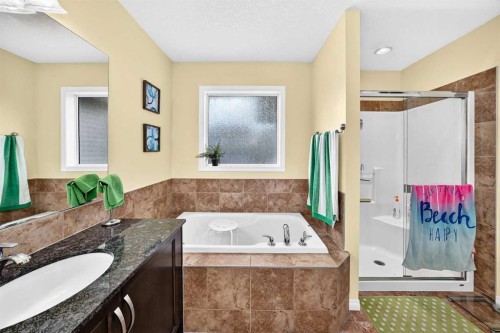 157 Sage Valley Road Nw, Calgary, AB - Indoor Photo Showing Bathroom