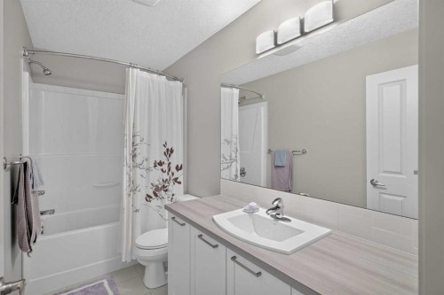 202 Copperpond Row Se, Calgary, AB - Indoor Photo Showing Bathroom
