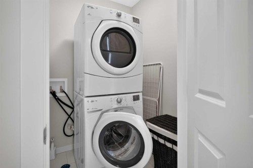 202 Copperpond Row Se, Calgary, AB - Indoor Photo Showing Laundry Room